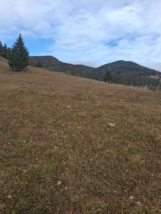 Vand teren colibibita mita