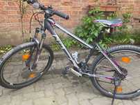 Vand bicicleta dama KTM