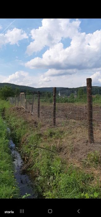 Vand teren intravilan foarte mare in Loc. Odvos Jud. Arad,4305 0
