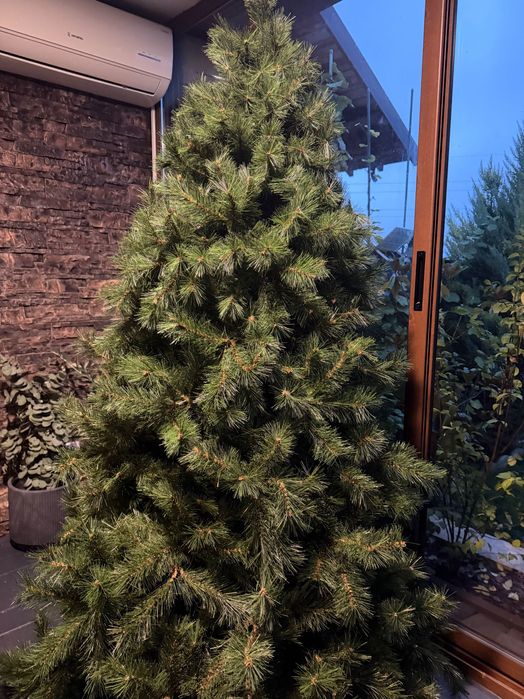 Brad artificial 2,10