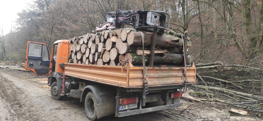 Lemne foc esență tare