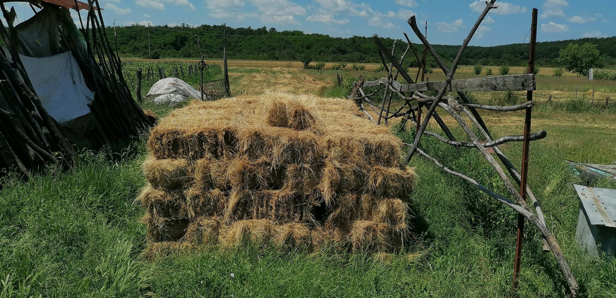 Baloți de fân curat