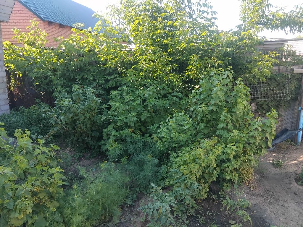 Продам       дом