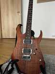 Chitara electrica Ibanez RG421-MOL