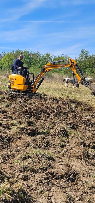 Oferim servici  Profesionale in mai multe domenii