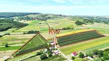 Livada+Teren 6 ha (60.000 MP) - Vulturesti, Suceava