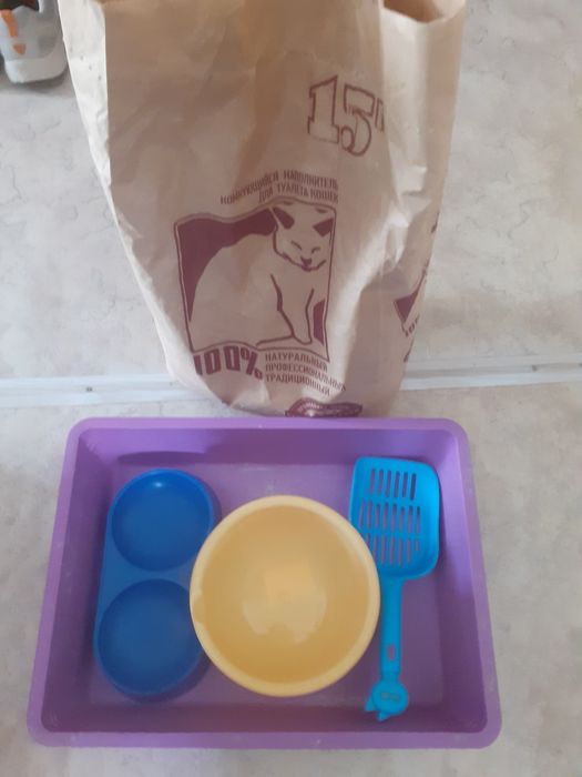 Туалет и др. Полный набор для кошачих