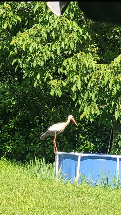 Продавам къща село Николово