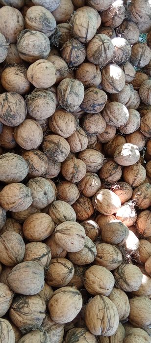 Орехи ядка , Био супер храна , Еко производство.