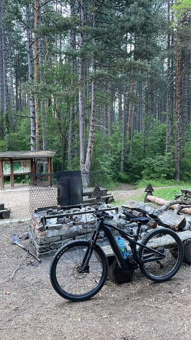 eBike MTB Focus Bosch 2024