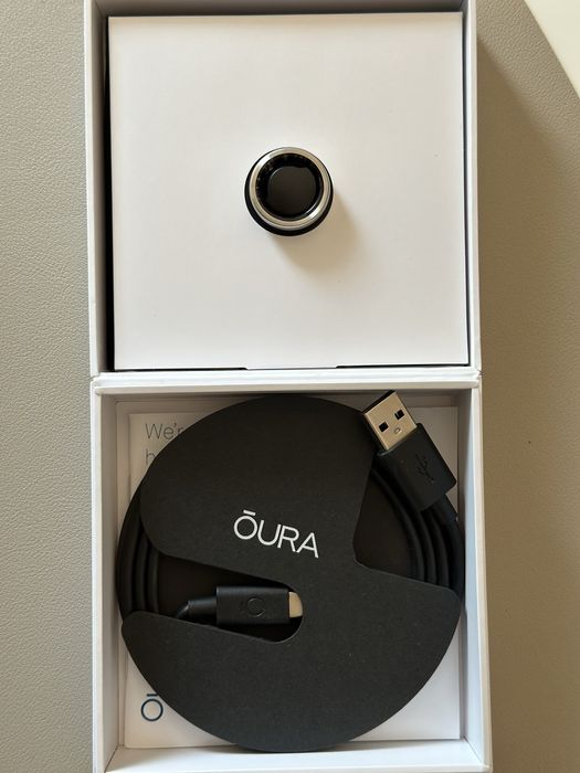 Oura Ring Generation 3 Horizon Brushed Titanium US6