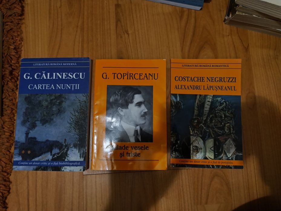 Colecție de 3 cărți esențiale pentru studiul literaturii române
