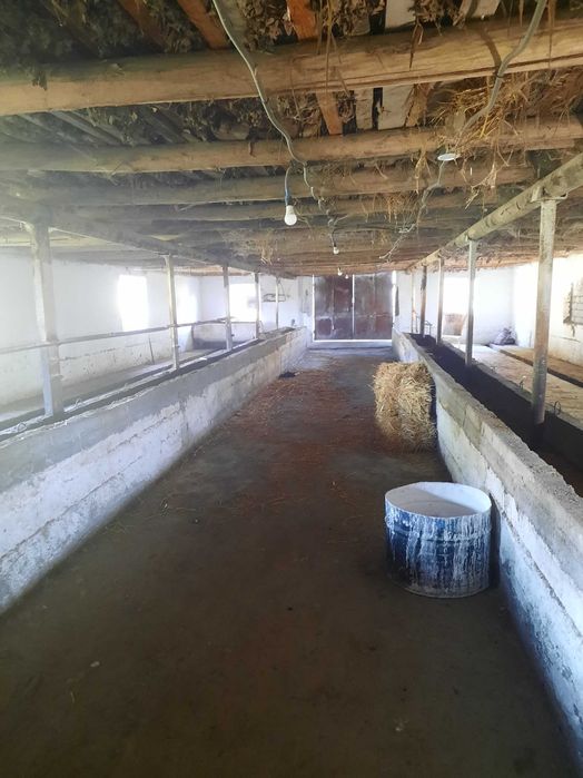 Ферма сотилади келишилган нархда