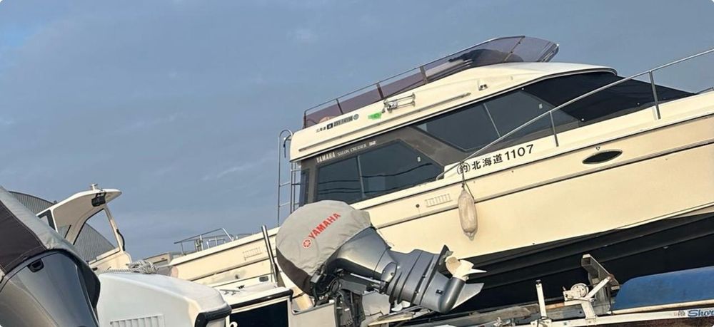 Под заказ привёз из Японии