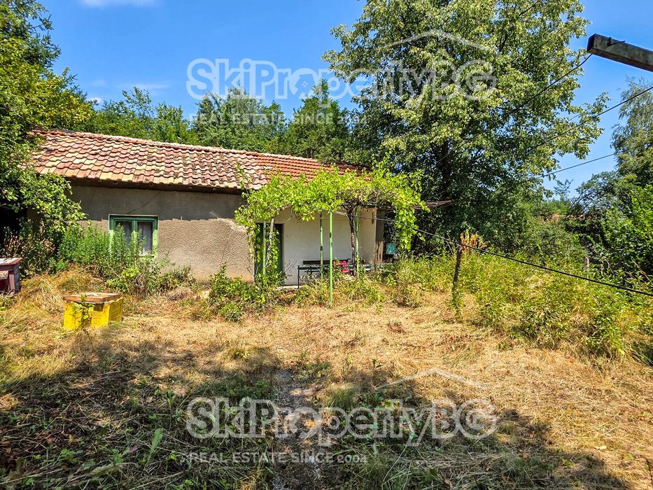 Две къщи с голяма градина в село Райово!