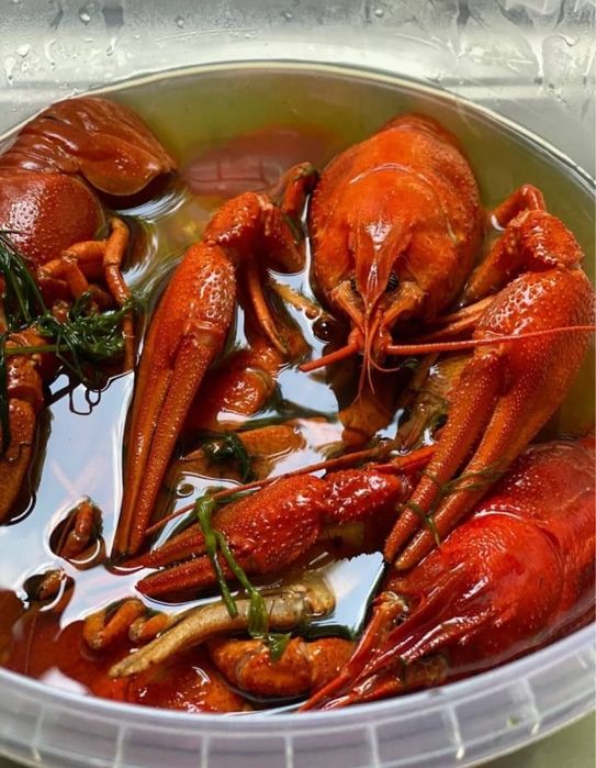 Свежие Морепродукты из Раков Атырау )!