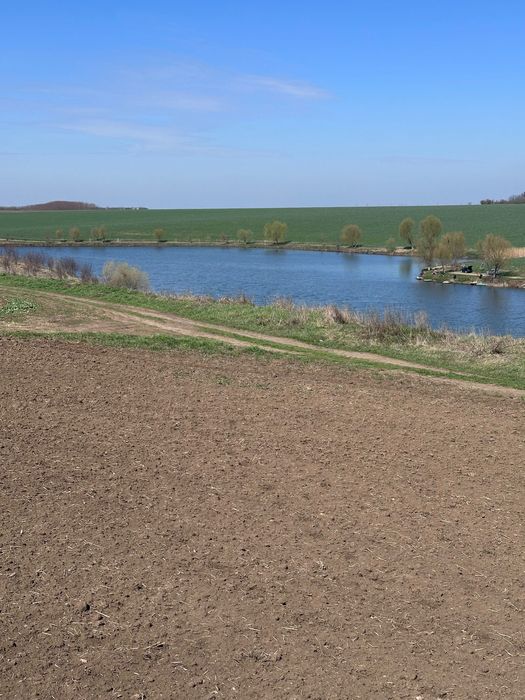 Teren  la balta Crang