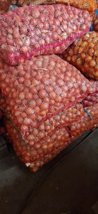 Stufat pentru ceapa verde