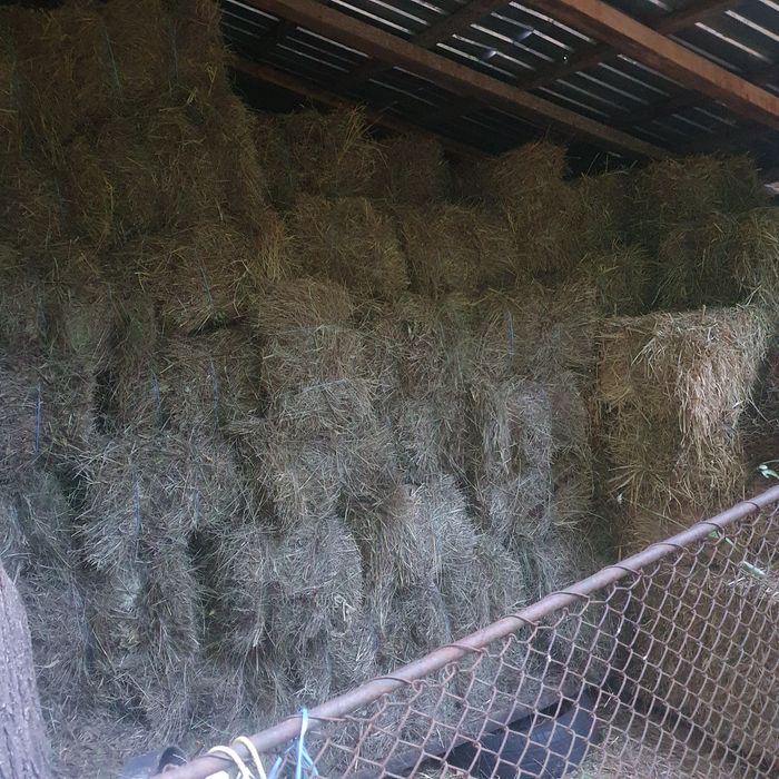 Baloți de fîn și paie