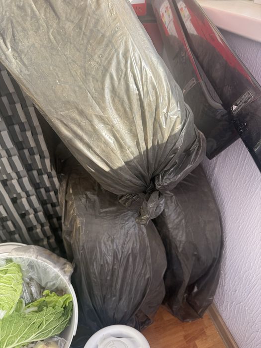 Triangle 205/55/16 шины