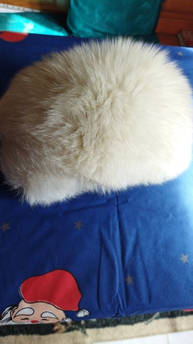 Caciula blana de vulpe
