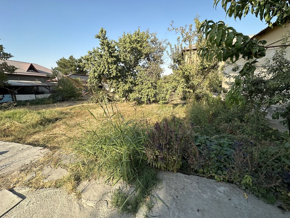 Квартирант куямиз