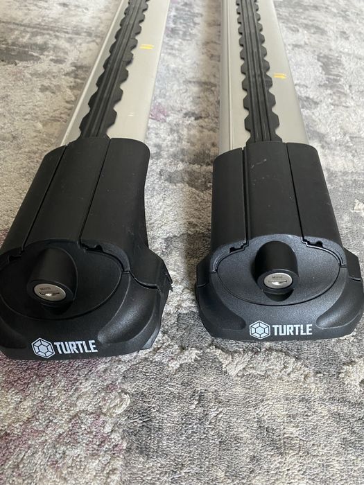 Bare transversale Turtle