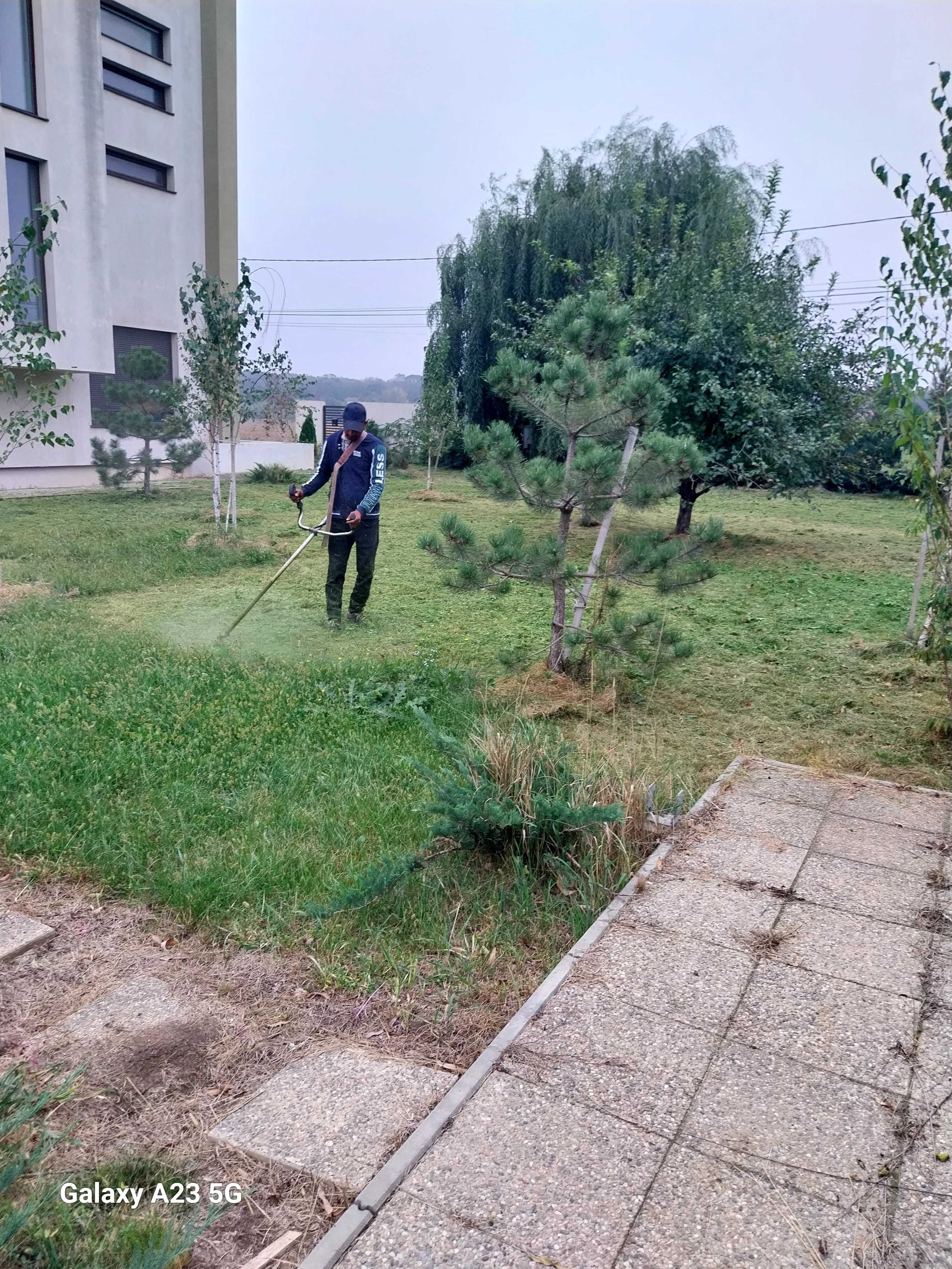Defrișăm tundem buruieni ierbicidăm