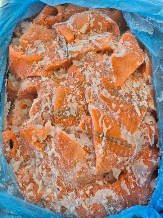 куски норвежской семги