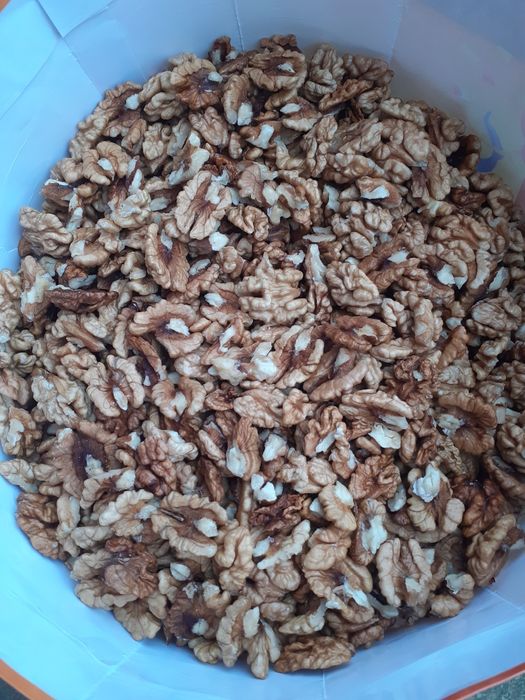 Nuci producție 2025