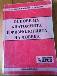 Основи на анатомията и физиологията на човека