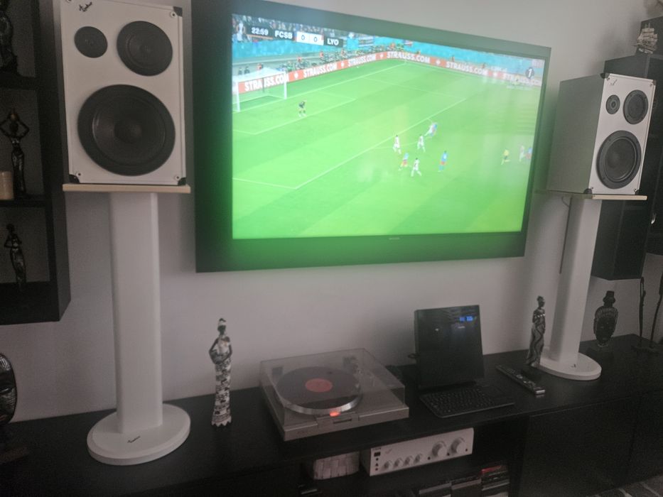 Amplificator si boxe