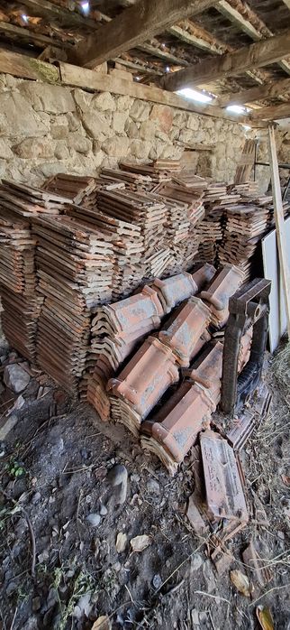 Țiglă ceramică Leu Jimbolia 254