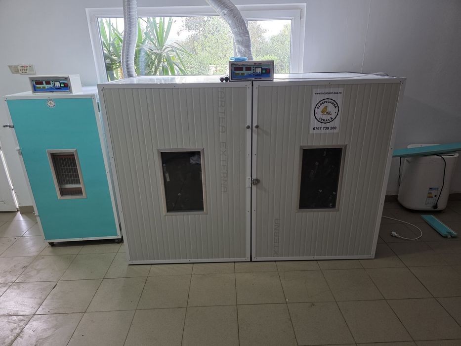 incubator oua strut