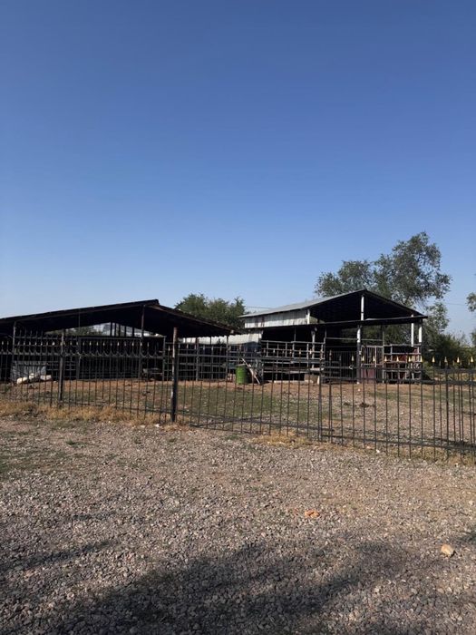 Сдам в аренду Фазенду.