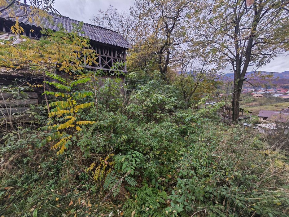 Teren 955mp intravilan Malaia Voineasa Vidra partia ski Transalpina