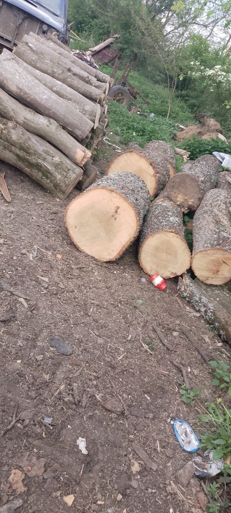 Vând Urgent lemne de foc