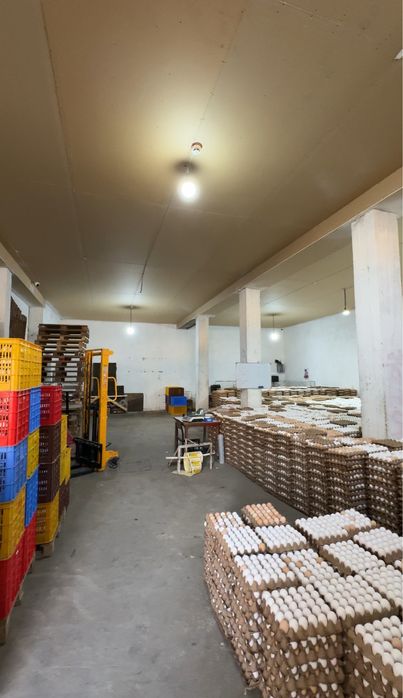 Продается промзона в Мирабадском районе!