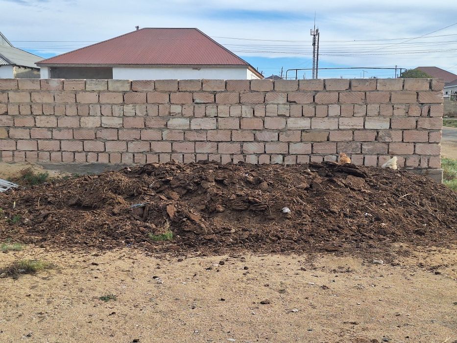 Удобрения органический