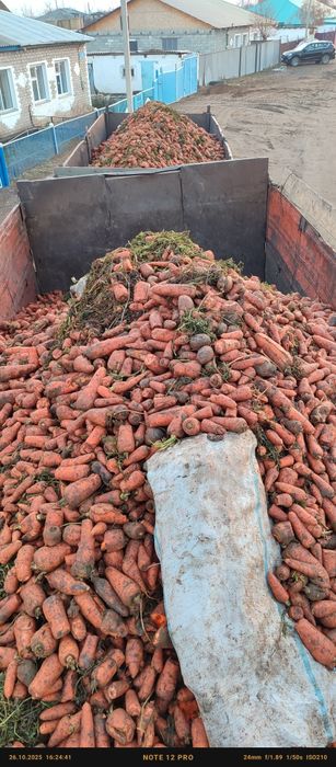 Продам марковку кормовую мешок 1000 теңге