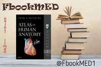 Atlas of human anatomy  Netter