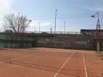 Teren de tenis pentru adulți/ copii