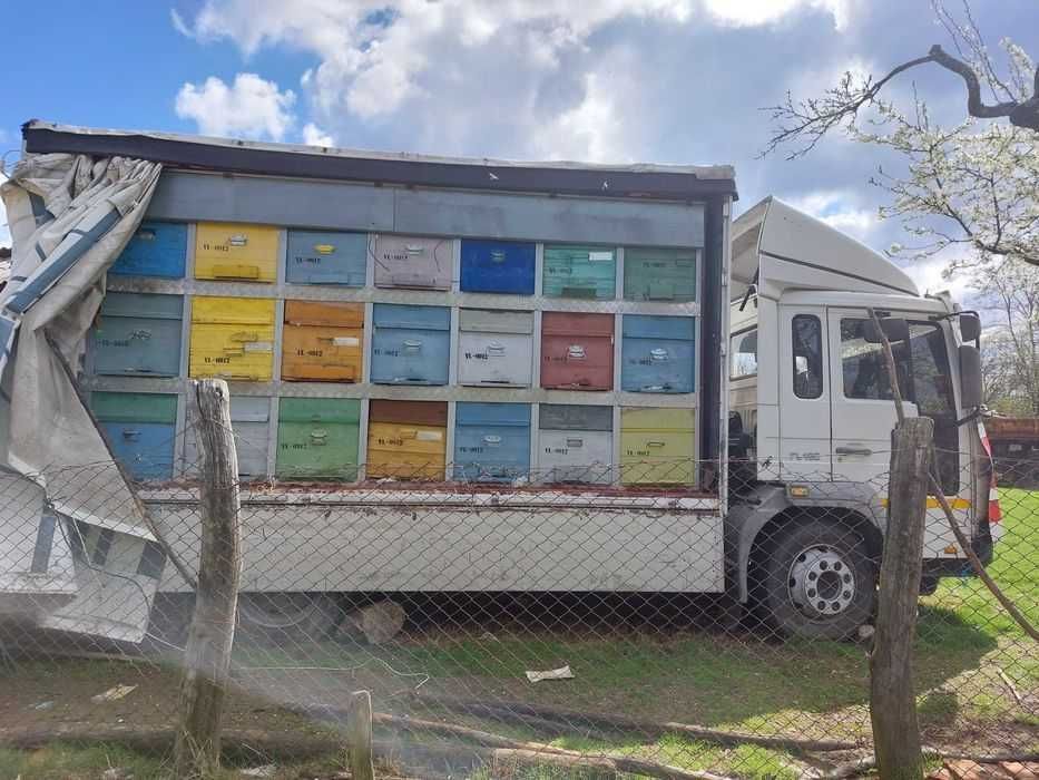 Vand masina apicola Volvo