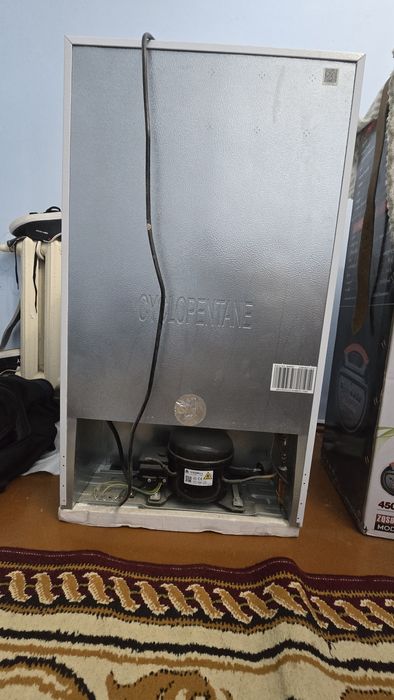 Roison mini muzlatgichi