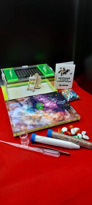 Муравьиная Ферма , муравьи в ПОДАРОК ! Алматы .