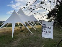 Cort pergola TriStar-150 Oxford, camping, evenimente,156 mp