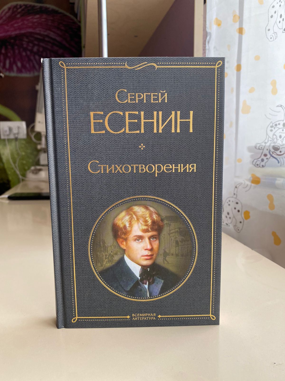 Стихотворения Книга