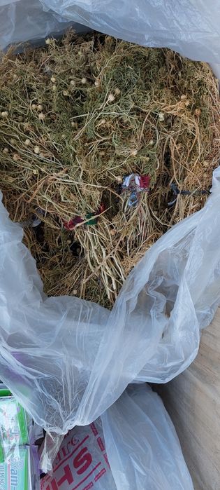 Адыраспан + Доставка