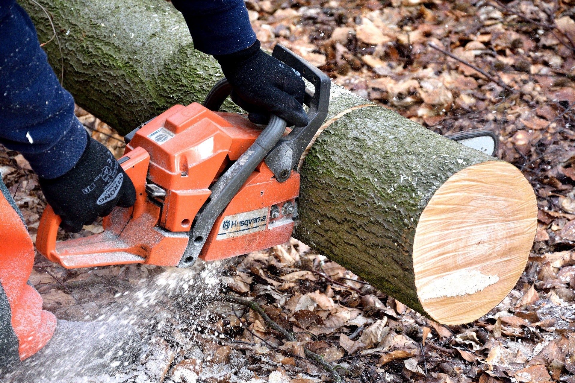 Curățare terenuri, defrișare, tualetare arbori