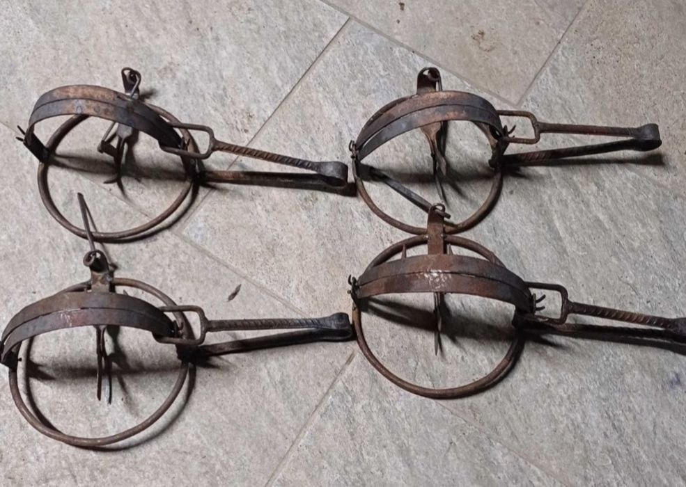 Capcana vulpi dihori șobolani